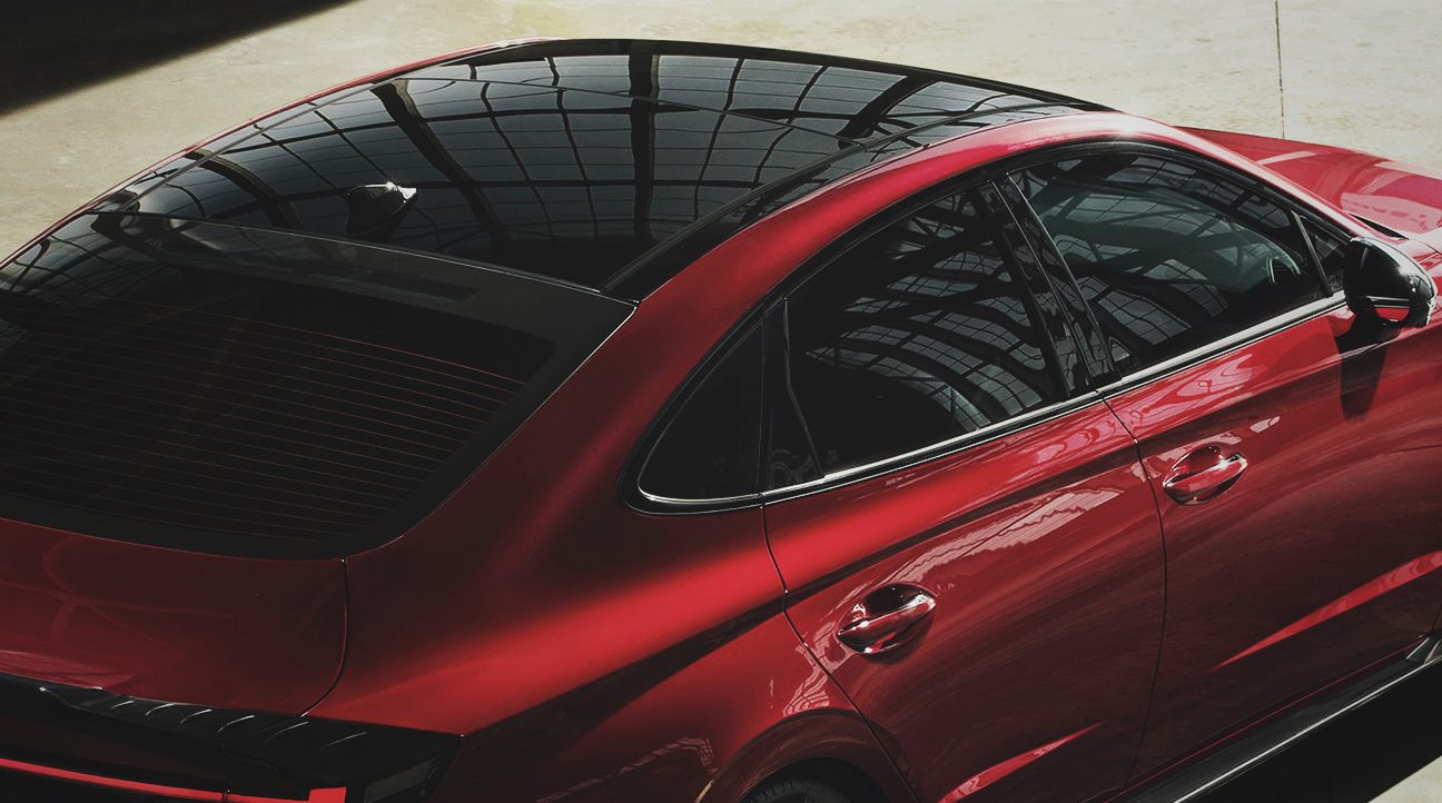 Ray Guard Carbon